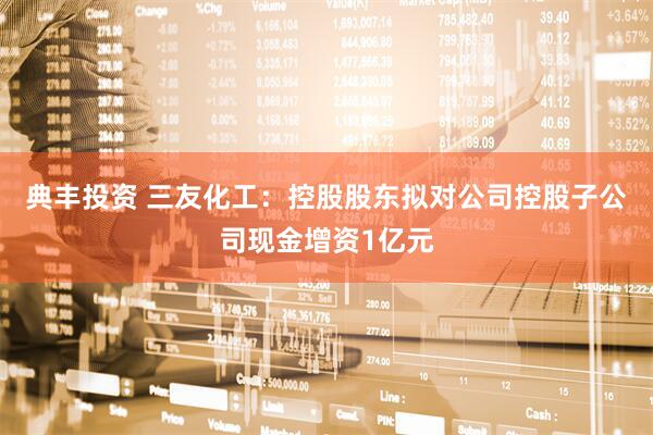 典丰投资 三友化工：控股股东拟对公司控股子公司现金增资1亿元