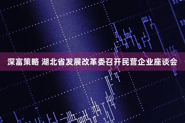 深富策略 湖北省发展改革委召开民营企业座谈会